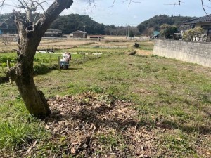 松江市八雲町東岩坂、土地の画像です