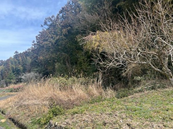 松江市八雲町東岩坂、土地の画像です