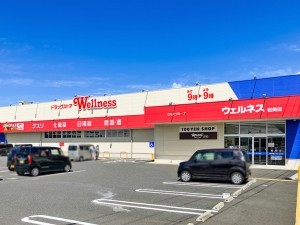 岩美郡岩美町大字大谷、土地のドラッグストア画像です