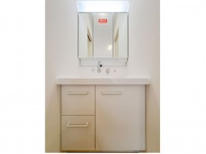 岩美郡岩美町大字大谷、土地の洗面画像です