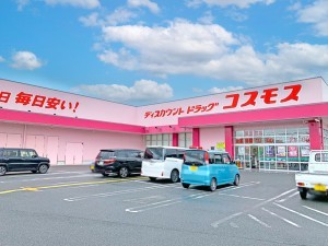 境港市上道町、土地のドラッグストア画像です