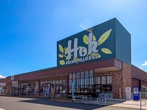 西伯郡伯耆町岸本、土地のスーパー画像です