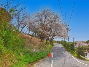 松江市東出雲町揖屋、土地の小学校画像です