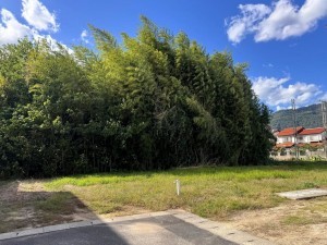出雲市稲岡町、土地の画像です