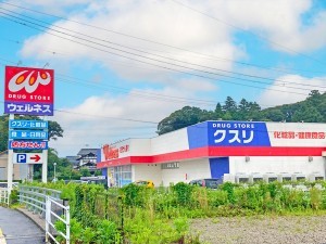 松江市法吉町、新築一戸建てのドラッグストア画像です