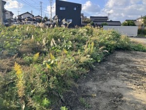 松江市一の谷町、土地の画像です