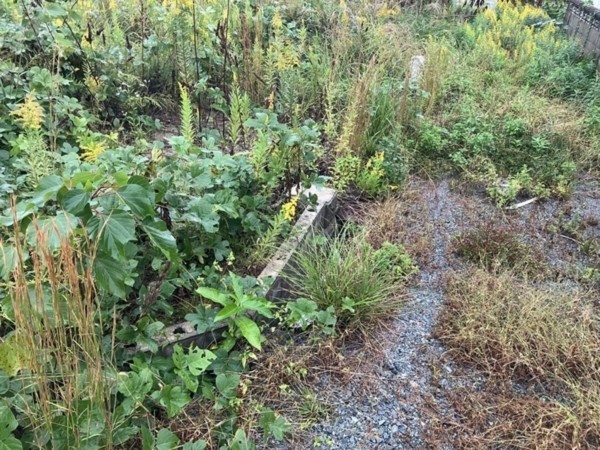 松江市一の谷町、土地の画像です