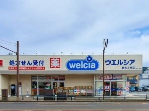 倉吉市、新築一戸建てのドラッグストア画像です