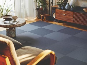 米子市旗ヶ崎、新築一戸建てのその他画像です