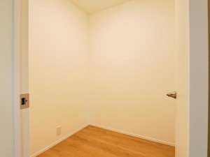 出雲市大津町、新築一戸建ての収納画像です