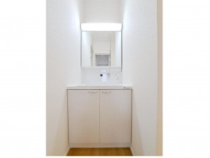 八頭郡八頭町、新築一戸建ての洗面画像です