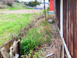 出雲市斐川町直江、土地の前面道路を含む現地写真画像です