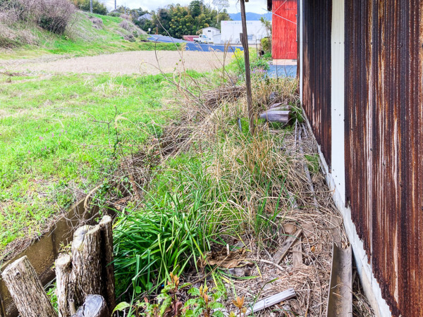 出雲市斐川町直江、土地の前面道路を含む現地写真画像です