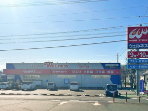 倉吉市、新築一戸建てのドラッグストア画像です
