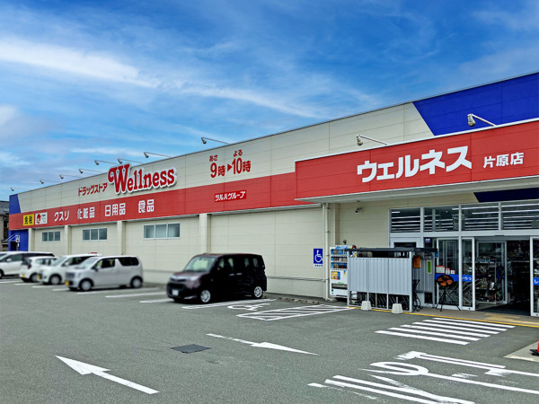 鳥取市相生町、新築一戸建てのドラッグストア画像です
