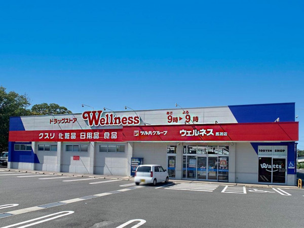 松江市矢田町、土地のドラッグストア画像です
