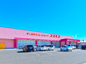 鳥取市賀露町南、新築一戸建てのドラッグストア画像です