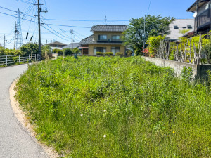 西伯郡伯耆町、土地の前面道路を含む現地写真画像です