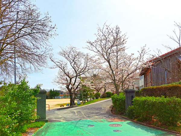 松江市東出雲町出雲郷、新築一戸建ての小学校画像です