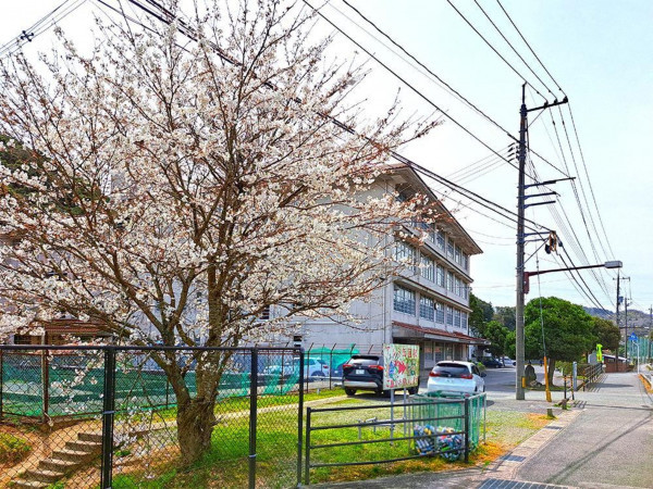 松江市八雲町東岩坂、土地の中学校画像です