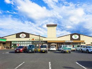 松江市八雲町東岩坂、土地のスーパー画像です