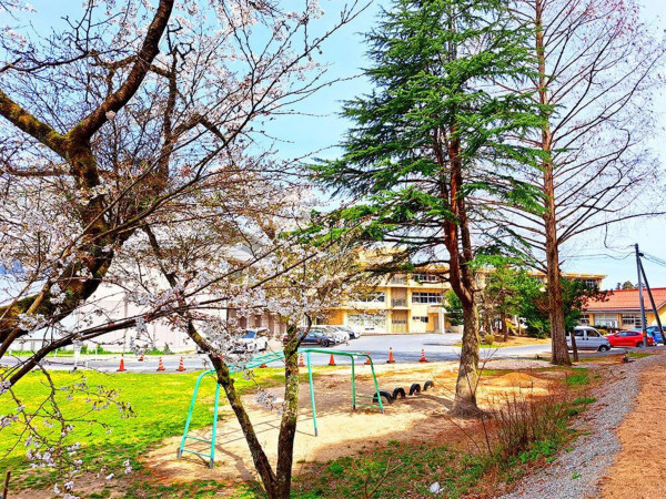 松江市八雲町東岩坂、土地の小学校画像です