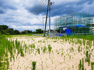 西伯郡伯耆町、土地の前面道路を含む現地写真画像です