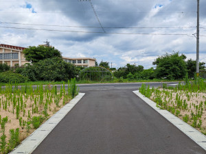 西伯郡伯耆町、土地の前面道路を含む現地写真画像です