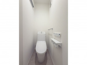 西伯郡伯耆町、土地のトイレ画像です