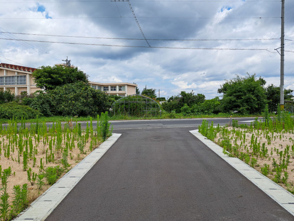 西伯郡伯耆町、土地の前面道路を含む現地写真画像です