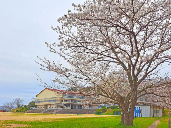 松江市古志原、土地の中学校画像です