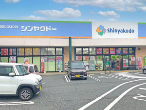 鳥取市湖山町南、新築一戸建てのドラッグストア画像です