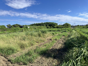 米子市大崎、土地の画像です