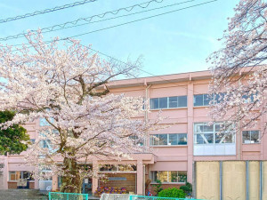 鳥取市湖山町南、新築一戸建ての小学校画像です