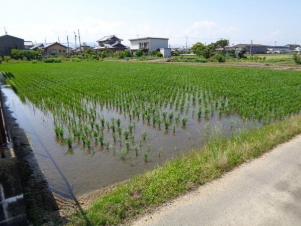 鈴鹿市池田町、土地の画像です