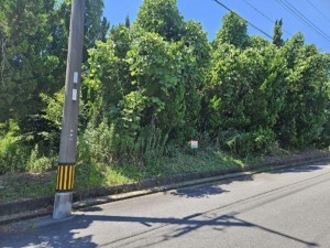 亀山市関ケ丘、土地の間取り画像です