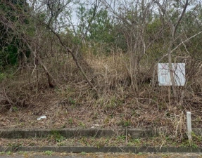 亀山市関ケ丘、土地の間取り画像です