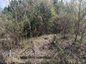 亀山市関ケ丘、土地の間取り画像です
