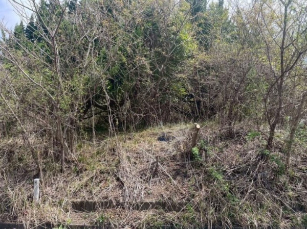 亀山市関ケ丘、土地の間取り画像です
