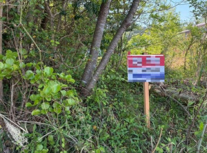 亀山市関ケ丘、土地の間取り画像です