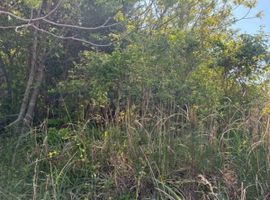 亀山市関ケ丘、土地の画像です