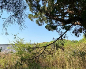 亀山市関ケ丘、土地の画像です
