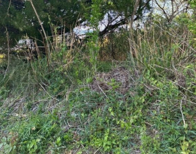 亀山市関ケ丘、土地の画像です