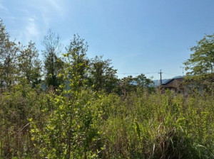 亀山市関ケ丘、土地の画像です
