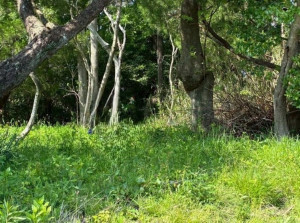 亀山市関ケ丘、土地の画像です