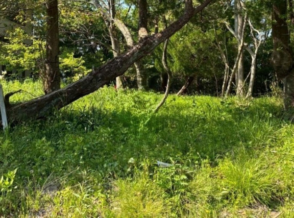 亀山市関ケ丘、土地の間取り画像です