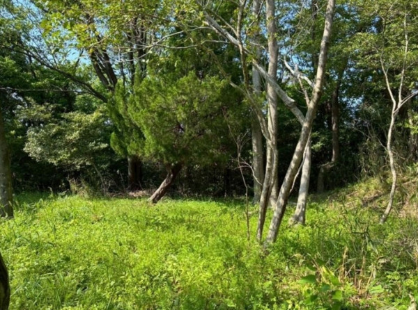 亀山市関ケ丘、土地の画像です