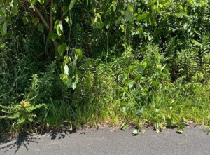 亀山市関ケ丘、土地の画像です
