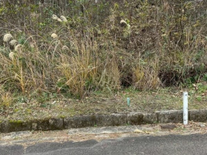 亀山市関ケ丘、土地の間取り画像です