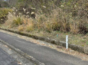 亀山市関ケ丘、土地の画像です